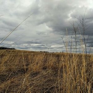 Meet your Posher, Lily